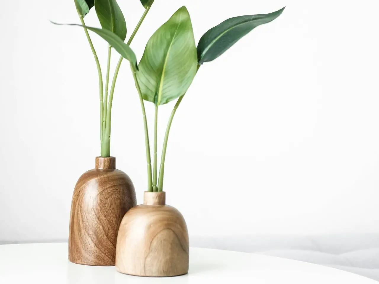 green plant on brown wooden vase